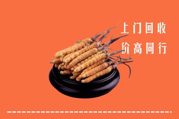高价求购：昌江区回收散虫草