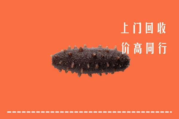 高价求购：昌江区回收海参